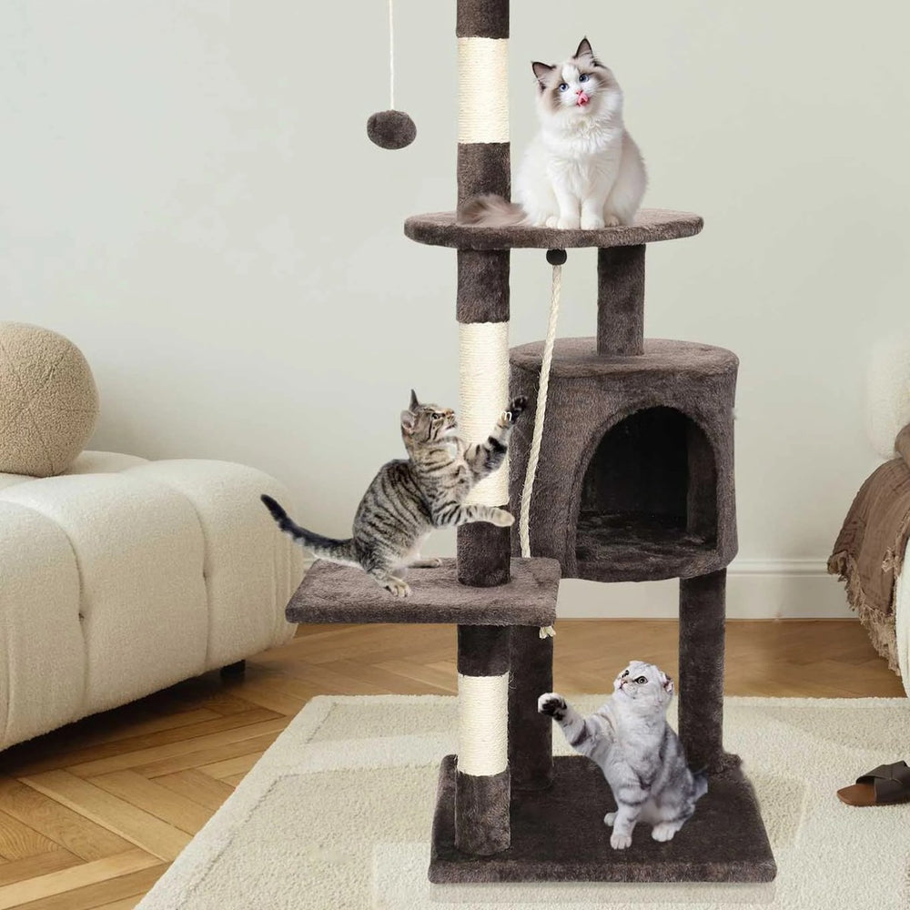 Arbre à chat brun et trois chats : un au sommet, un qui griffe le poteau en sisal, un au pied — Les Trésors d'Owka