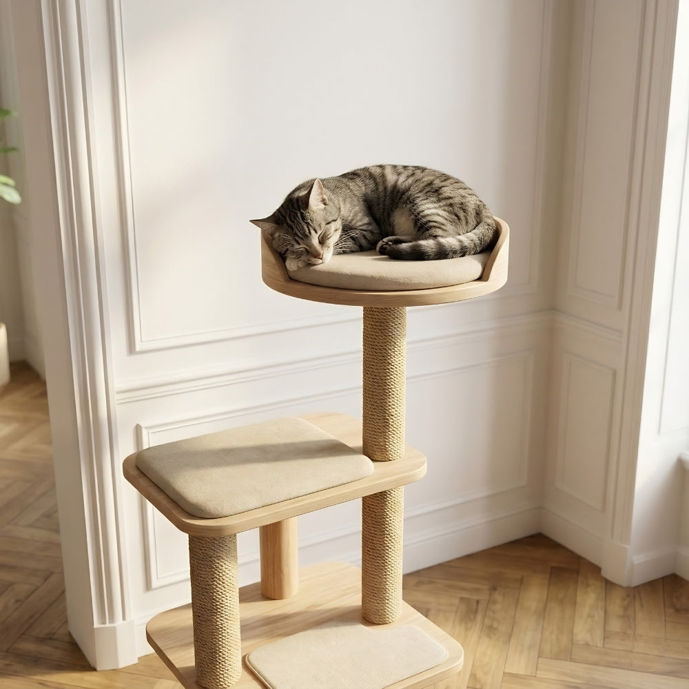 Un Arbre à Chat qui Embellit votre Intérieur