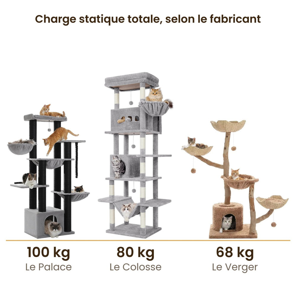 Charges totales publiées par les fabricants de nos arbres à chat Maine Coon : 100 kg, 80 kg et 68 kg — Les Trésors d'Owka