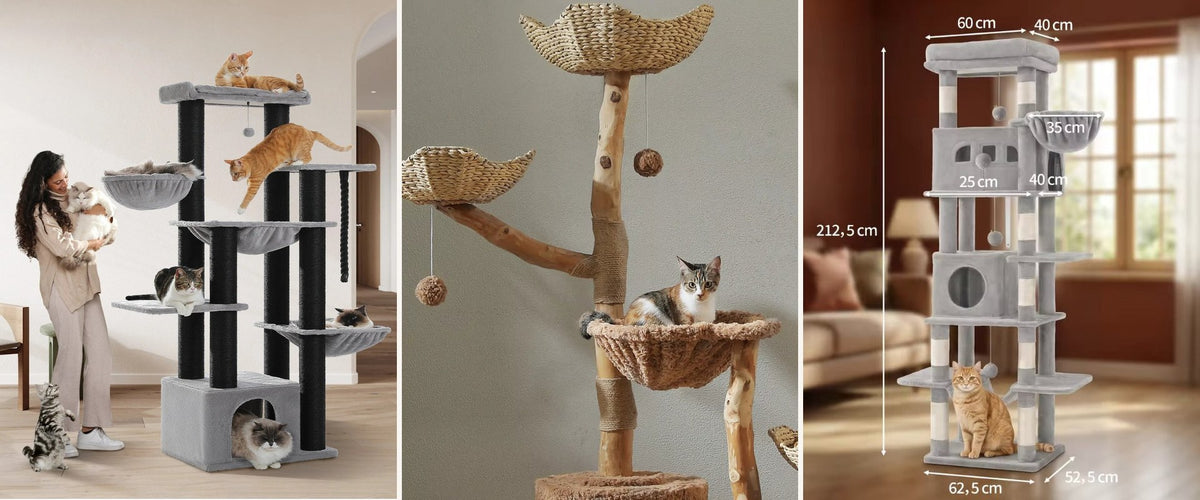 Trois arbres à chat Maine Coon dans un salon, de 1,50 à 2,10 m, dont le fabricant publie la charge — Les Trésors d'Owka
