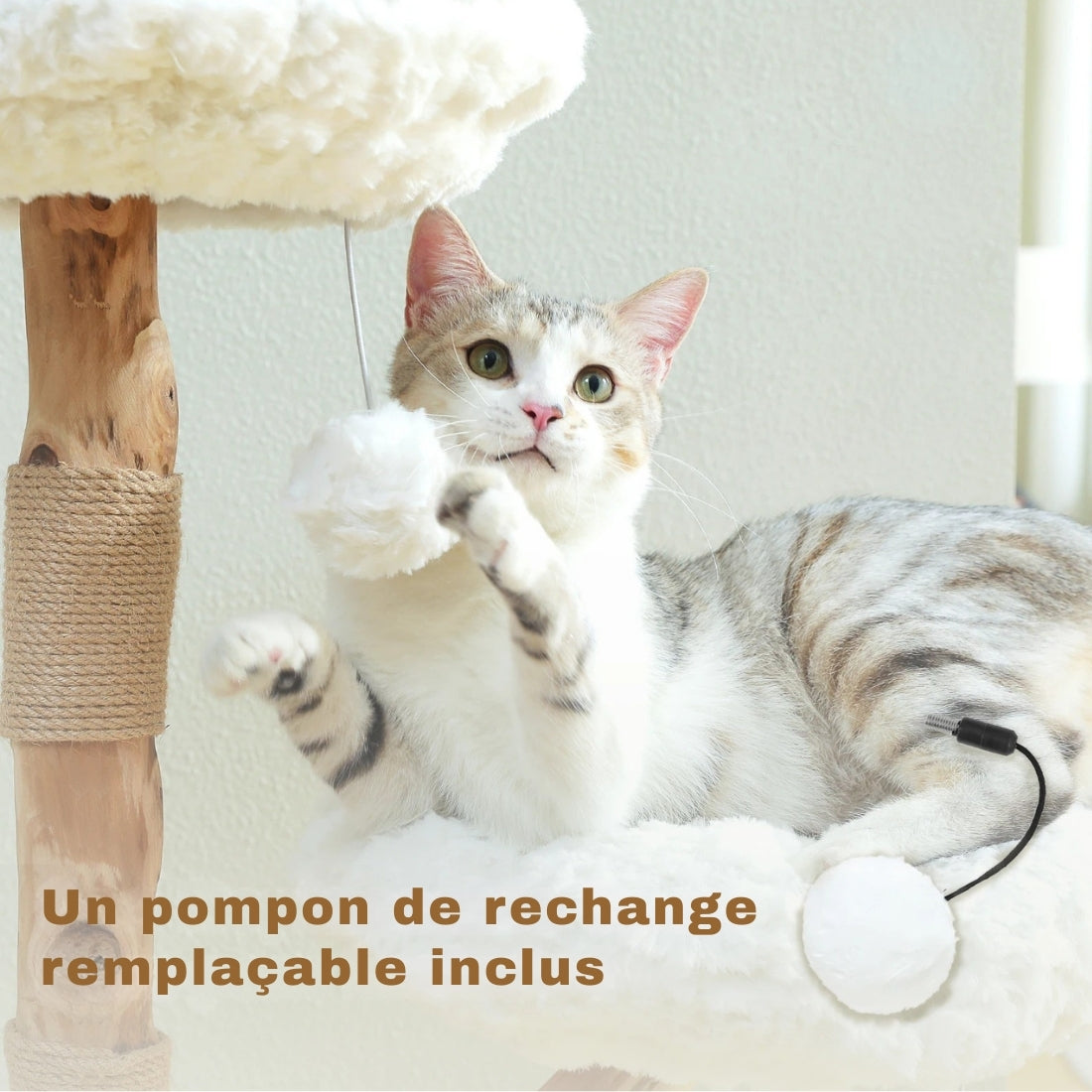 Chat jouant avec un pompon suspendu sur l'arbre à chat Marguerite en bois naturel, avec zoom sur le pompon de rechange remplaçable inclus pour une durabilité accrue.