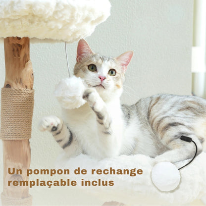 Chat jouant avec un pompon suspendu sur l'arbre à chat Marguerite en bois naturel, avec zoom sur le pompon de rechange remplaçable inclus pour une durabilité accrue.