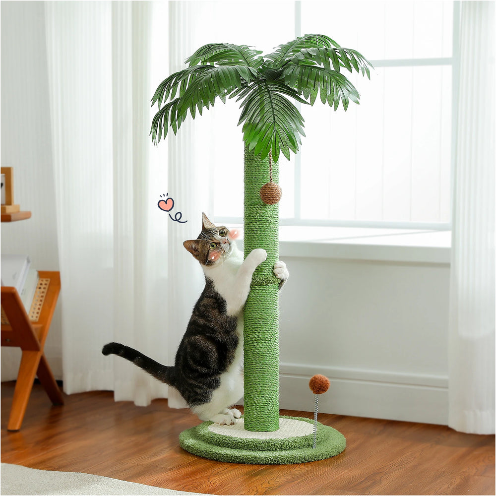 LE GRIFFOIR POUR CHAT QUI SAUVE VOS CANAPÉS
