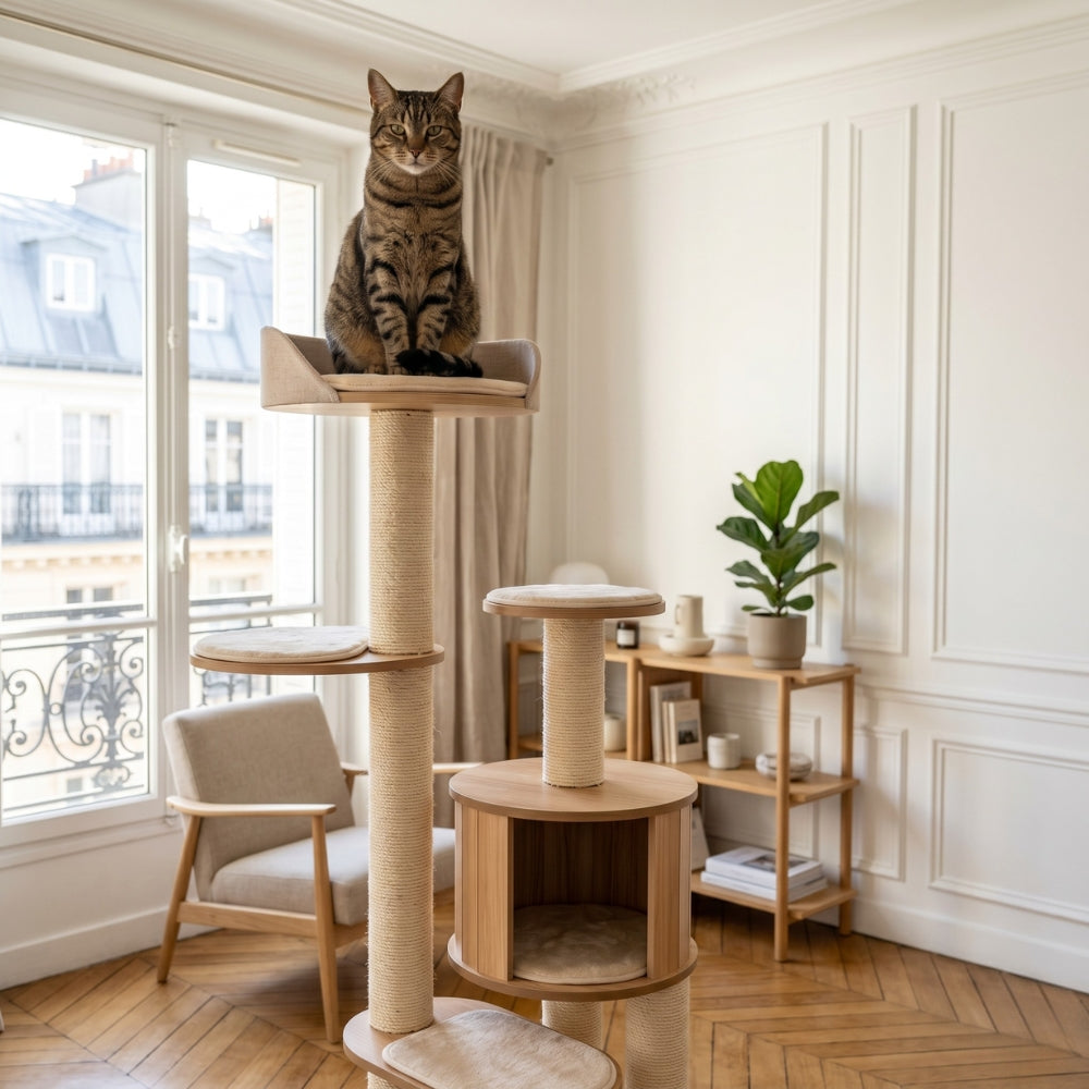 La Hauteur, Besoin Vital du Chat