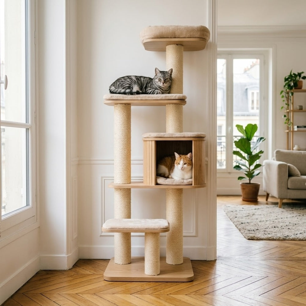 Multi-Chats : Un Arbre, Zéro Conflit