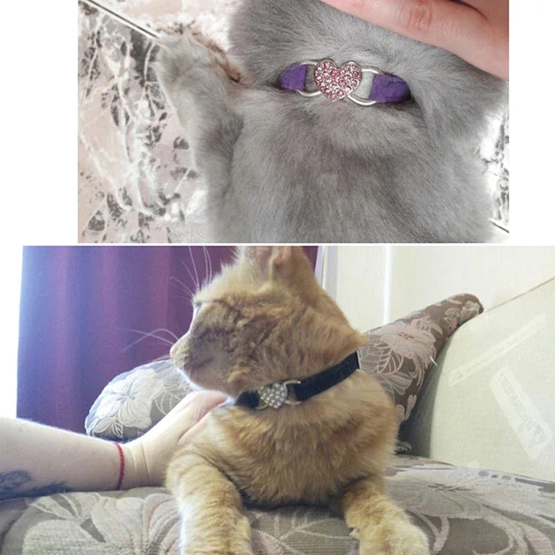 Mise en situation réelle du collier pour chat en velours violet et noir avec pendentif cœur en strass. Un chaton gris et un chat roux portent le collier chaton chic et scintillant. Photo montrant la qualité du tissu velours et la brillance des cristaux pour un look élégant. Les Trésors d'Owka.