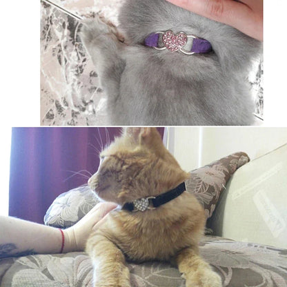 Mise en situation réelle du collier pour chat en velours violet et noir avec pendentif cœur en strass. Un chaton gris et un chat roux portent le collier chaton chic et scintillant. Photo montrant la qualité du tissu velours et la brillance des cristaux pour un look élégant. Les Trésors d'Owka.