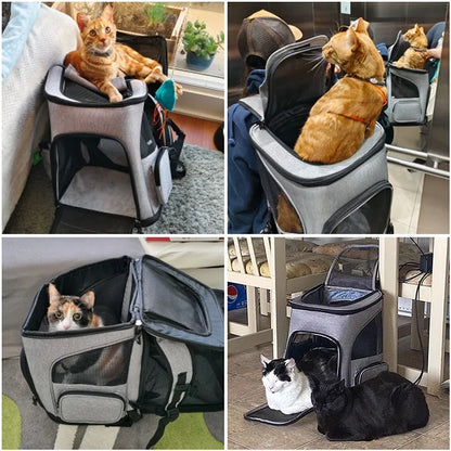 Montage de quatre photos montrant des chats utilisant le sac à dos de transport gris en situation réelle : comme panier de repos à la maison, en mode portage avec la tête sortie, et déployé avec son extension tente pour plus d'espace.