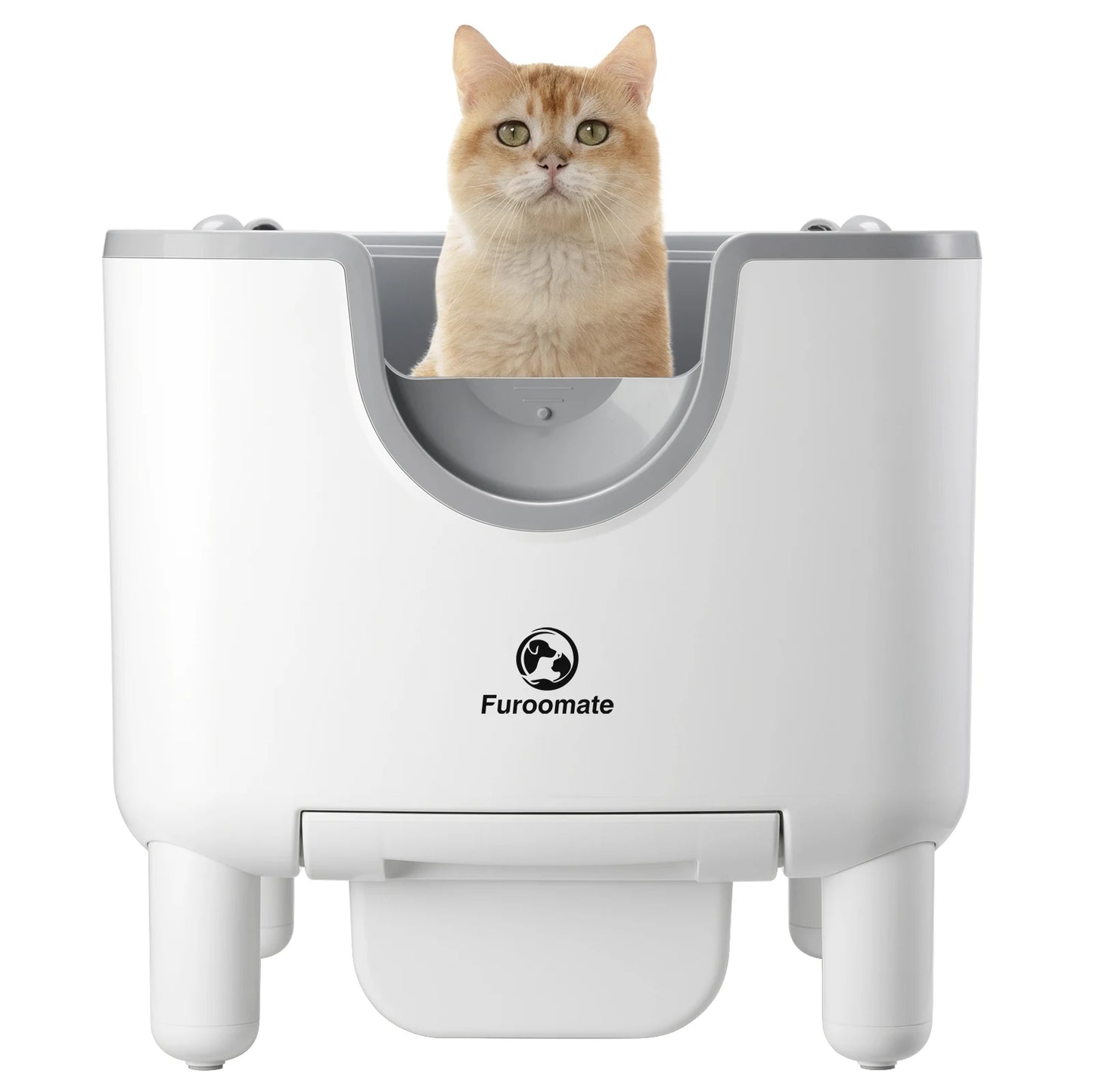 Un chat roux curieux installé dans un bac à litière chat automatique Furoomate blanc et gris. Ce bac a litiere au design surélevé moderne offre une entrée spacieuse et sécurisée, idéal comme bac à litière pour chaton haut de gamme.