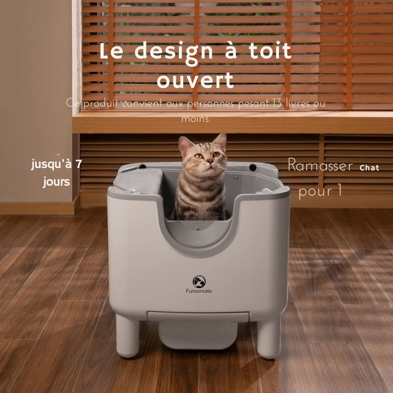 Un Espace Rassurant sans Toit
