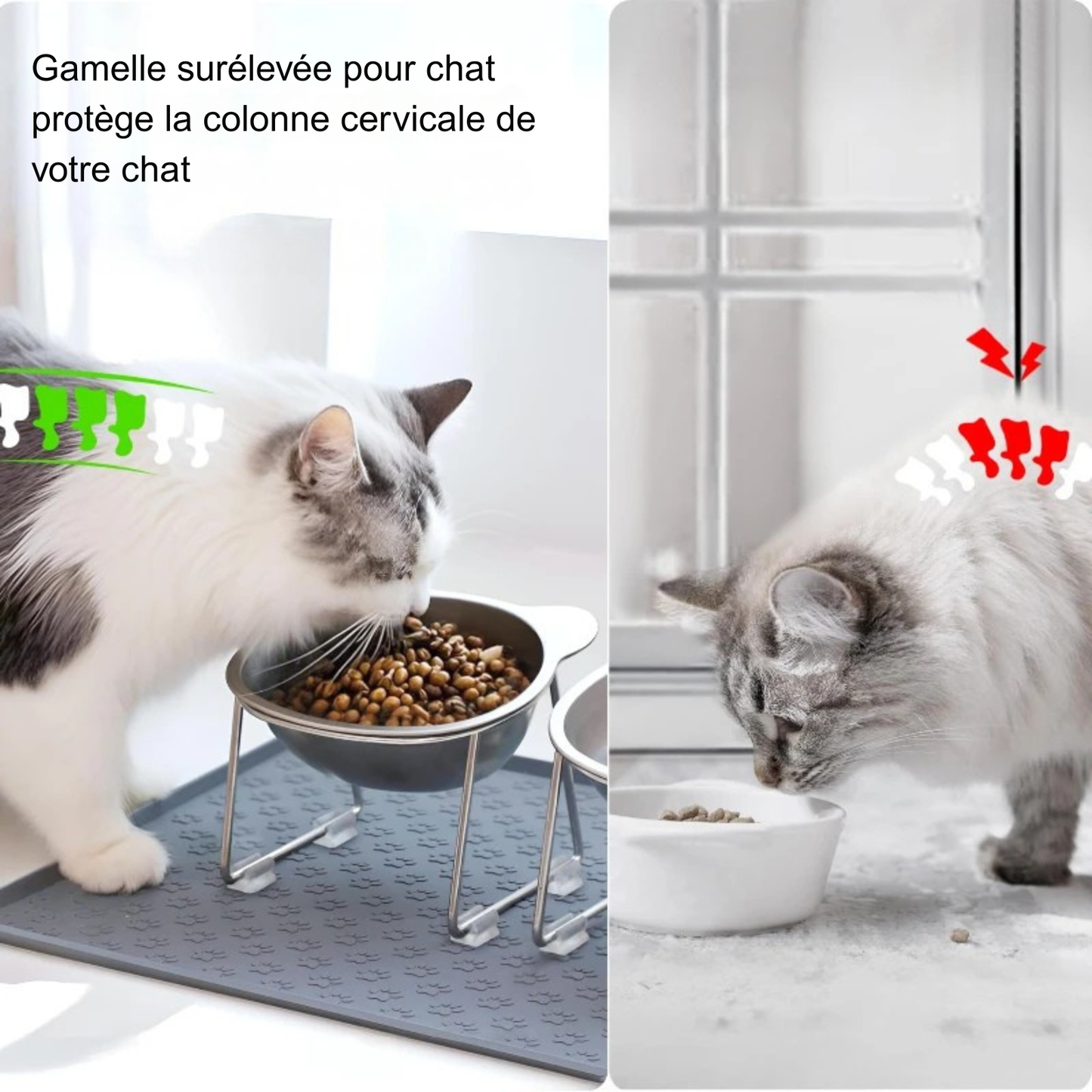 Infographie comparative montrant une gamelle pour chat surélevée protégeant la colonne cervicale contre une gamelle au sol causant des douleurs. À gauche, la gamelle chat orthopédique en inox assure un alignement parfait du dos. Une gamelle ergonomique indispensable pour prévenir les tensions et faciliter la digestion de votre animal.