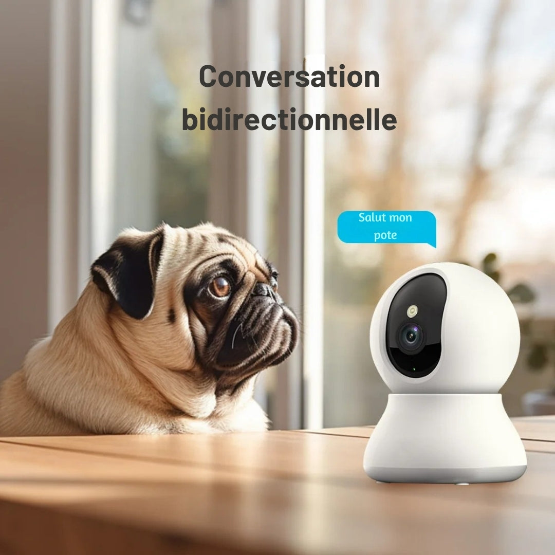 Caméra de surveillance interactive pour chien avec conversation bidirectionnelle, montrant un Carlin écoutant la voix de son maître ("Salut mon pote") via le haut-parleur intégré.