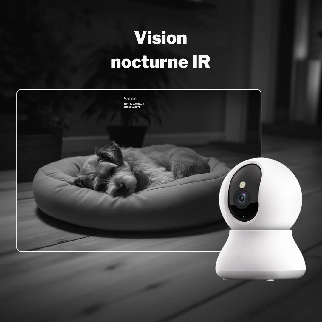 Démonstration de la vision nocturne IR d'une caméra de surveillance intelligente montrant un chien endormi dans son panier avec une clarté HD en noir et blanc.