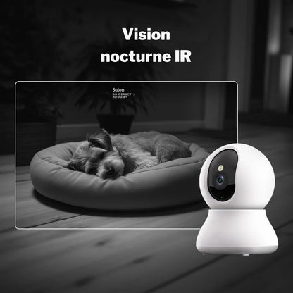 Démonstration de la vision nocturne IR d'une caméra de surveillance intelligente montrant un chien endormi dans son panier avec une clarté HD en noir et blanc.