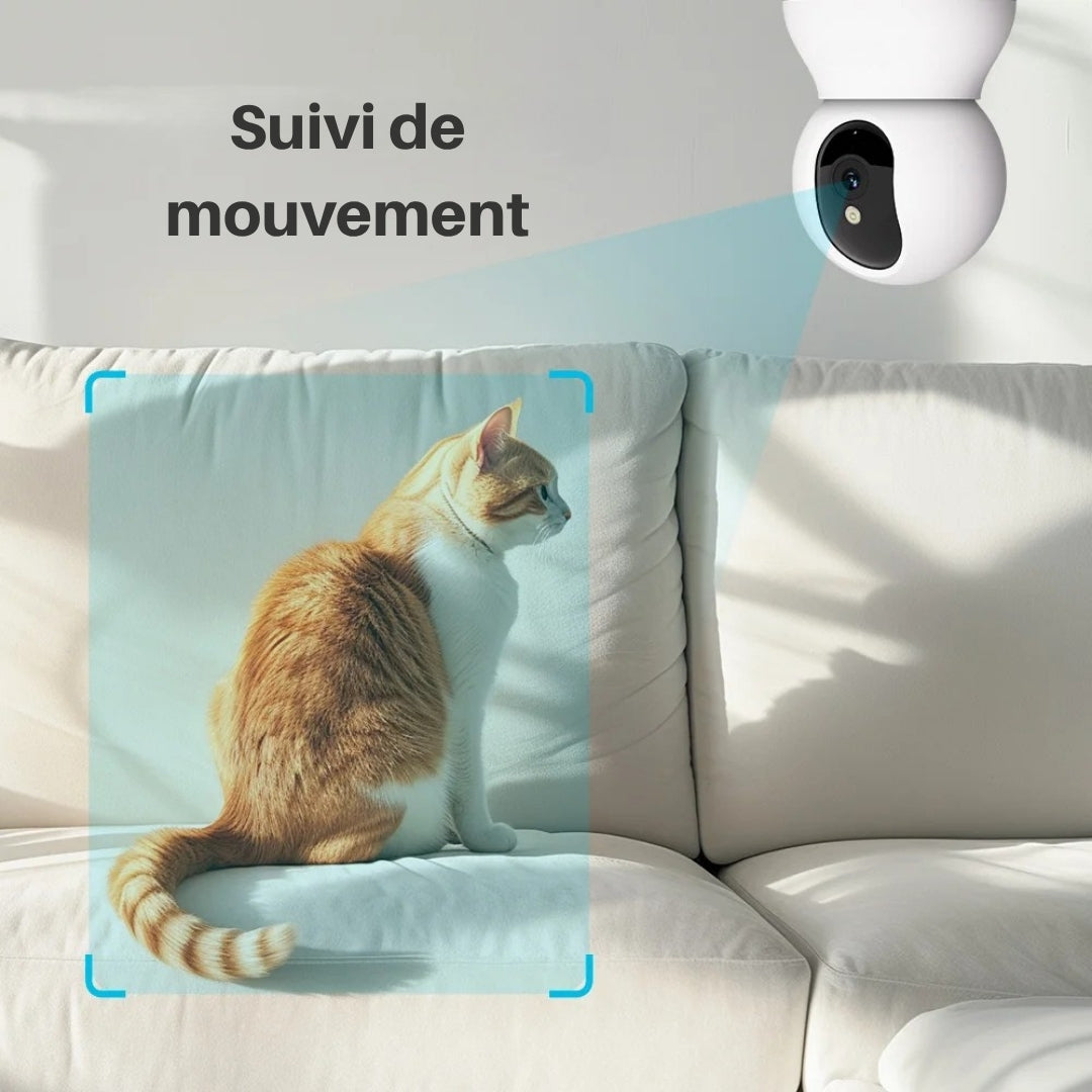 Caméra de surveillance intelligente avec fonction suivi de mouvement automatique, montrant un chat roux détecté et suivi par un faisceau de balayage sur un canapé blanc.