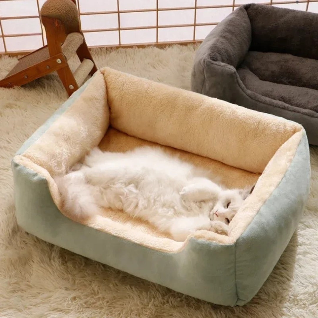 Chat blanc à poils longs endormi sur le dos dans son canapé pour chat rectangulaire vert d'eau, intérieur en peluche beige moelleuse avec bords surélevés protecteurs.