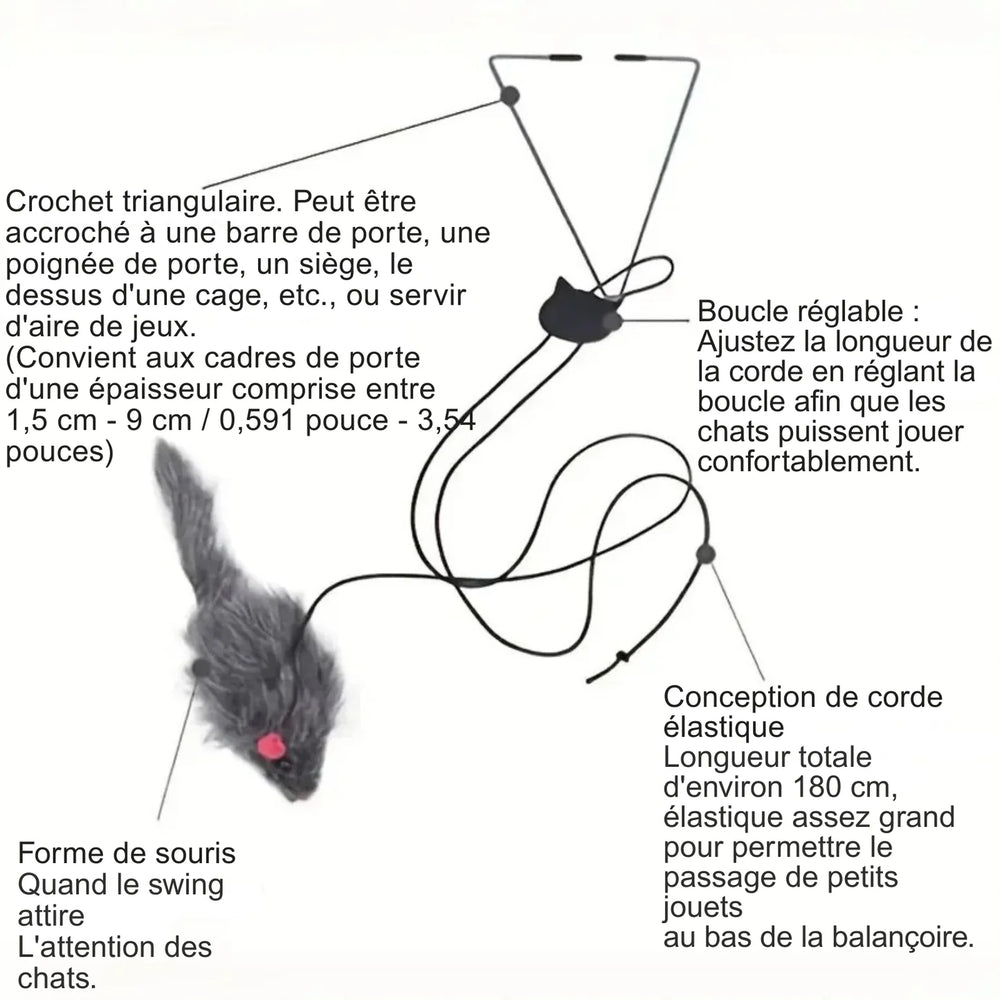 L'allié croissance de votre chaton