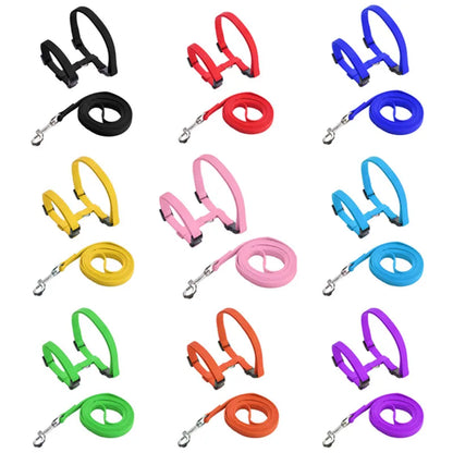 Catalogue complet de harnais pour chat en nylon avec laisse assortie, disponible en 9 couleurs : noir, rouge, bleu, jaune, rose, turquoise, vert, orange et violet. Cet ensemble harnais chat réglable en H est idéal comme harnais animaux pour les premières sorties. Structure légère et robuste avec boucles de sécurité et mousqueton métallique pour une promenade sereine.
