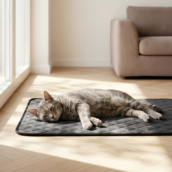 Chat gris tigré allongé de tout son long sur un tapis rafraîchissant gris foncé en soie glacée, près d'une fenêtre ensoleillée. Coussin rafraîchissant pour chat en textile matelassé respirant, sans gel ni électricité. Les Trésors d'Owka.