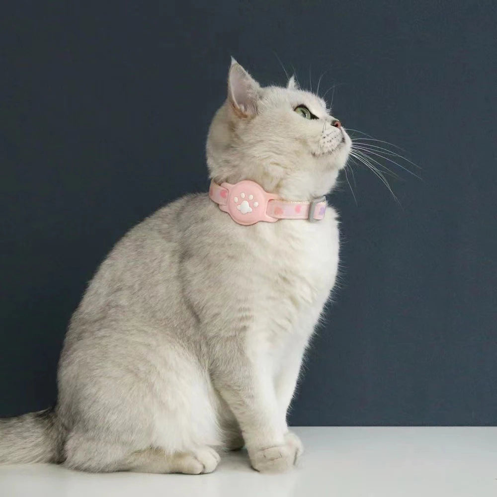 Chat British Shorthair argenté portant un collier gps pour chat rose pastel. Gros plan sur le support AirTag en silicone patte de chat parfaitement ajusté au cou de l'animal. Ce collier gps chat esthétique et confortable offre une localisation sécurisée. Un accessoire type collier gps à chat idéal pour la protection quotidienne de votre félin.