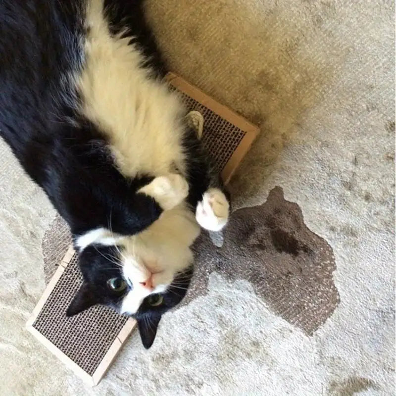 Photographie d'un chat noir et blanc allongé sur le dos en pleine détente sur son griffoir chat horizontal en carton alvéolé. L'image démontre l'attractivité exceptionnelle de ce griffoir pour chat qui sert à la fois de zone de jeu et d'espace de repos. Ce griffoir a chat durable est posé sur un tapis de salon pour protéger les fibres du textile contre les griffures naturelles du félin. Une solution écologique et efficace pour le bien-être de votre animal et la protection de votre intérieur, signée Les Trés