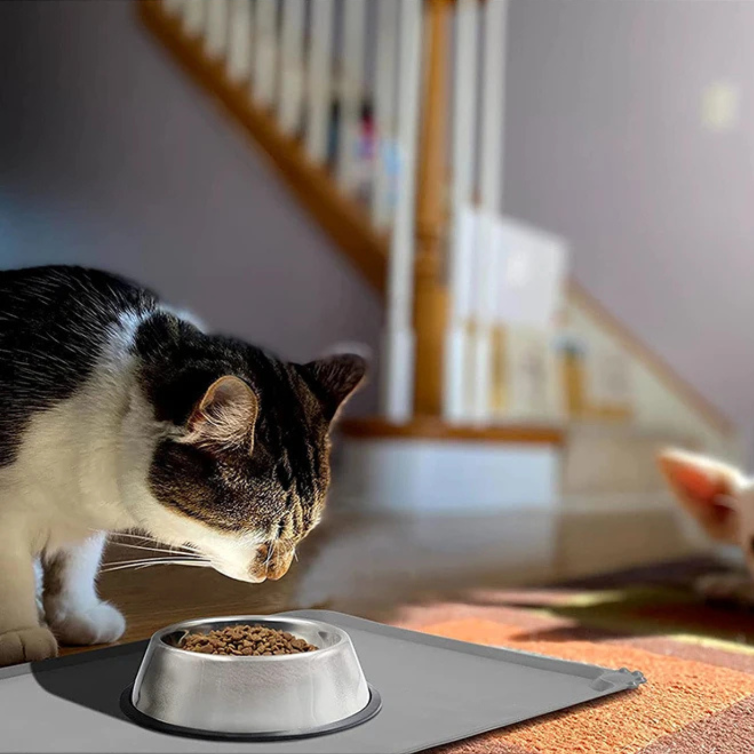 Chat domestique noir et blanc mangeant dans une gamelle en inox posée sur un tapis de protection en silicone gris imperméable, idéal pour protéger le sol des projections d'eau et de croquettes.
