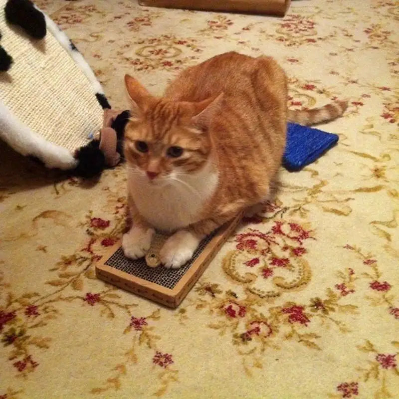 Un chat roux et blanc est assis confortablement sur un griffoir chat horizontal en carton alvéolé haute densité. L'image montre ce griffoir pour chat posé sur un grand tapis de salon décoré, illustrant parfaitement comment ce griffoir a chat protège vos textiles et tapis des griffures. Équipé d'une petite souris en sisal pour stimuler le jeu, ce produit Les Trésors d'Owka est la solution écologique et durable pour l'entretien des griffes de votre félin en intérieur.