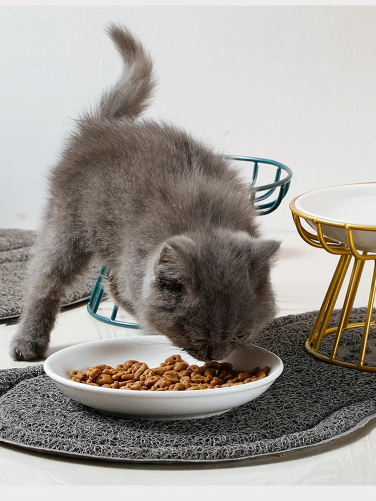 Petit chaton gris mangeant des croquettes dans une gamelle en céramique surélevée, posée sur un support design en métal doré et un tapis de litière gris.