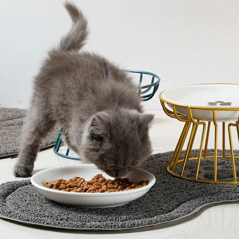 Chaton gris mangeant des croquettes dans une gamelle en céramique surélevée, posée sur un support design en métal doré et un tapis gris antidérapant.