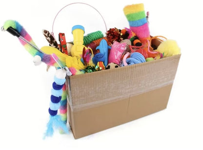 Coffret de jouets pour chat de 14 jouets, photo du vendeur : peluche et plastique tirés au hasard — Les Trésors d'Owka