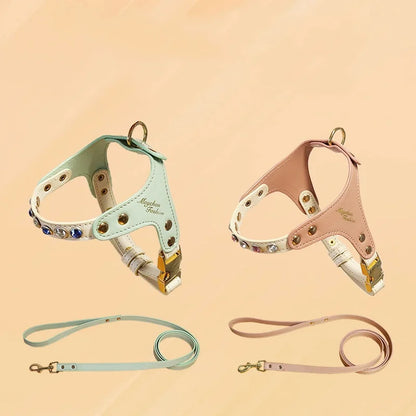 Collection de harnais pour chat de luxe 'Maychan Fashion' en cuir menthe et rose poudré avec cristaux sertis et boucles dorées. Chaque harnais élégant est présenté avec sa laisse assortie coordonnée. Un équipement de prestige alliant sécurité et esthétique raffinée, idéal comme harnais chat de créateur pour les propriétaires exigeants.