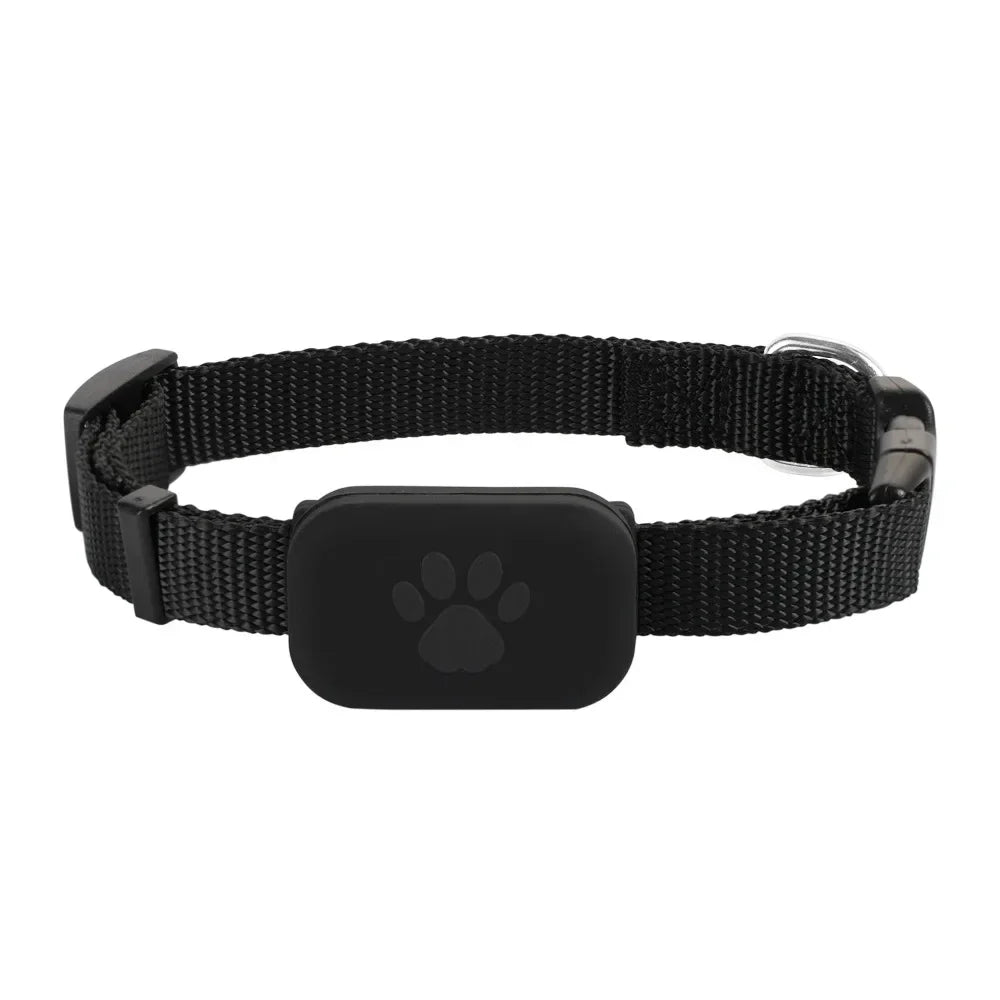 Collier pour chat noir en nylon robuste avec boîtier de protection intégré pour traceur GPS, boucle de réglage noire et anneau de fixation métallique.