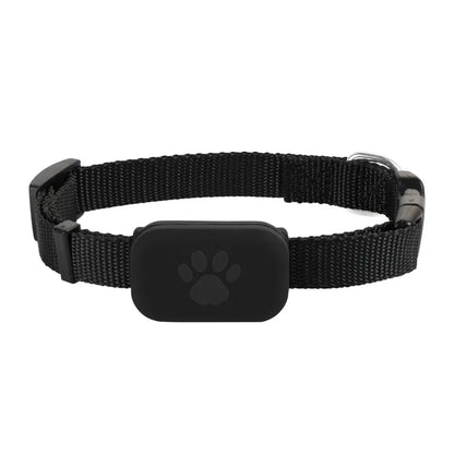 Collier pour chat noir en nylon robuste avec boîtier de protection intégré pour traceur GPS, boucle de réglage noire et anneau de fixation métallique.