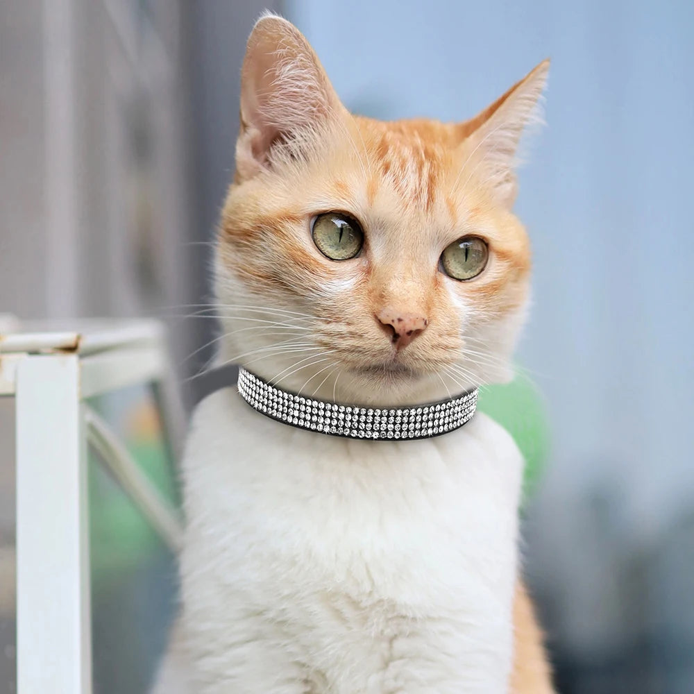 Chat bicolore blanc et roux portant un collier de luxe en velours noir serti de trois rangées de strass étincelants, idéal pour un look sophistiqué.