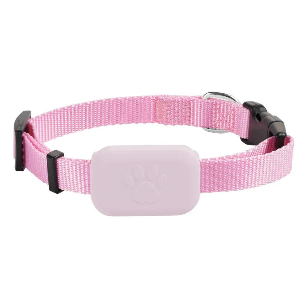 Collier pour chat rose en nylon robuste avec boîtier de protection intégré pour traceur GPS, boucle de réglage noire et anneau de fixation métallique.