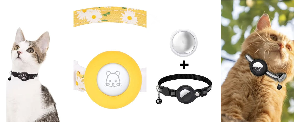 Collier GPS chat anti-étranglement sur un chaton et un chat roux perché, un collier jaune et une balise — Les Trésors d'Owka