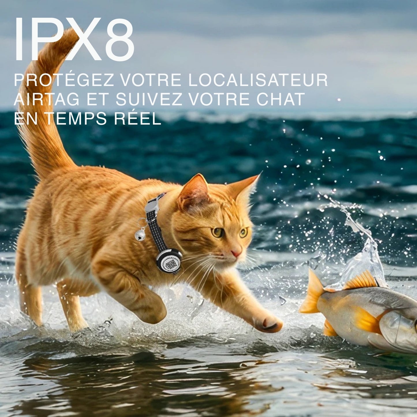 Collier gps chat noir avec certification d'étanchéité IPX8, montré sur un chat roux attrapant un poisson dans l'eau. Le visuel souligne la protection du localisateur AirTag contre l'immersion totale. Un équipement de traçage robuste, idéal comme premier collier gps pour chaton aventurier pour un suivi en temps réel avec ce collier gps haute performance.