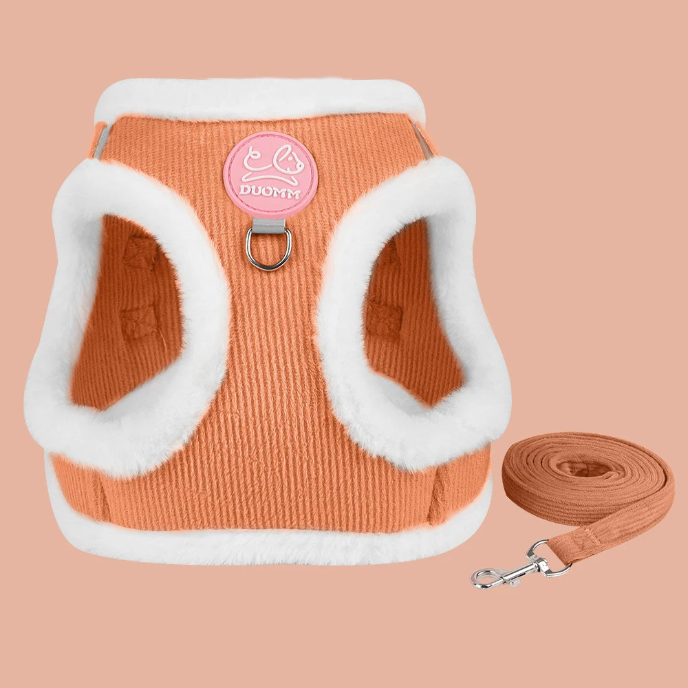 Gros plan d'un collier gps rose avec motifs de pattes réfléchissantes, incluant un support en silicone pour traceur, une clochette argentée et une boucle de sécurité "breakaway". Le visuel montre également un chaton tigré portant fièrement l'équipement, illustrant la taille adaptée pour un collier gps pour chaton. Une solution légère et efficace pour transformer votre traceur habituel en un véritable collier gps chat sécurisé et stylé.