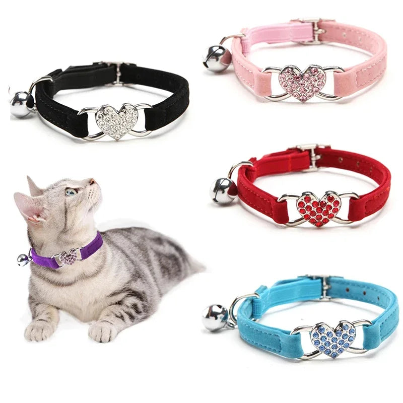 Cinq modèles de collier pour chat en velours doux avec pendentif cœur en strass brillants et clochette. Couleurs Noir, Rose, Rouge, Bleu. Un chat tigré European Shorthair porte le modèle violet. Collier chaton réglable, chic et confortable pour animaux de compagnie. Les Trésors d'Owka.