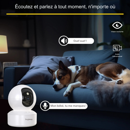 Comparaison de résolution entre 3MP 2K et 1080p sur une caméra de surveillance animaux. L'image de gauche montre un chat gris avec des détails nets et vivants grâce à la résolution 3MP, prouvant la supériorité de cette caméra chat pour identifier chaque détail.