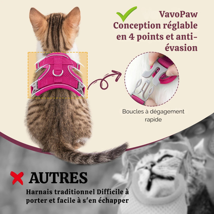 Infographie comparative présentant le harnais pour chat VavoPaw rose fuchsia avec réglage en 4 points et système anti-évasion. Le visuel montre le confort sur un chaton et un zoom sur les boucles à dégagement rapide, contrastant avec un harnais traditionnel peu sécurisé. Un choix de harnais animaux premium conçu pour empêcher les fuites et faciliter l'enfilage