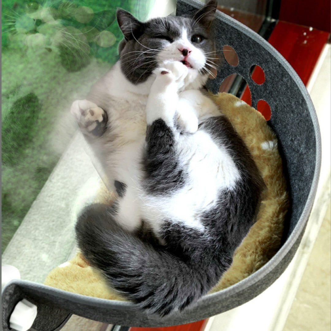 Chat gris et blanc se prélassant sur un coussin beige douillet à l'intérieur d'un hamac de fenêtre en feutre gris, offrant un espace de repos sécurisé et chaud derrière une vitre.