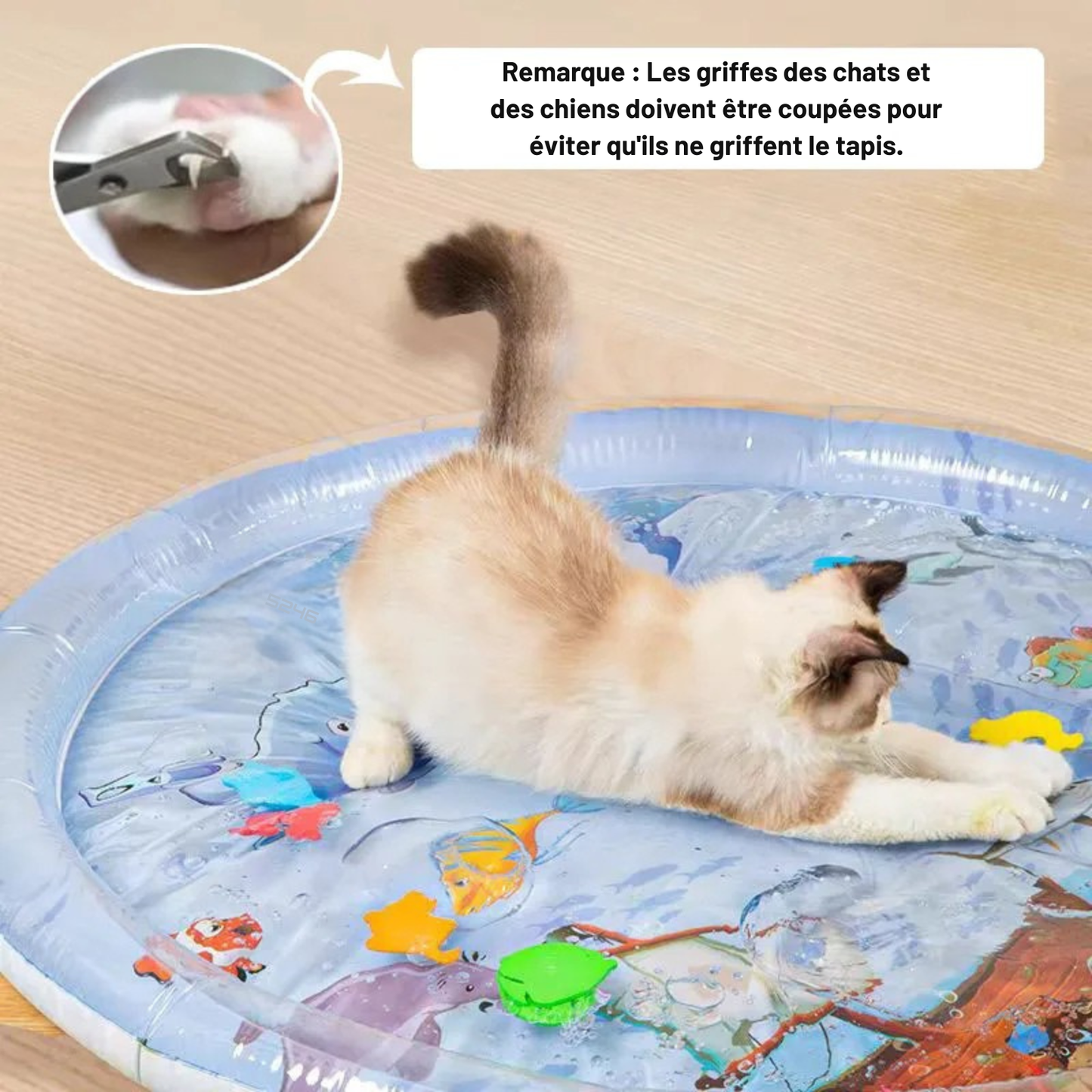 Tapis rafraichissant chat sensoriel à eau Monde Marin avec conseil pour couper les griffes de l'animal. L'image montre un chaton s'étirant sur ce coussin rafraichissant pour chat interactif. Accessoire d'été robuste, ludique et étanche, convient aussi comme tapis rafraichissant chien de petite taille. Qualité Les Trésors d'Owka.