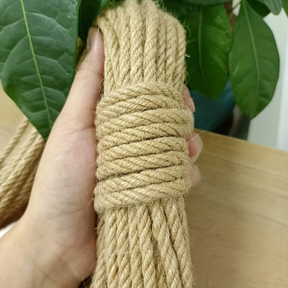 Main tenant une botte de corde en sisal naturel robuste pour montrer sa texture et son épaisseur. Cette corde sisal animaux est idéale pour la rénovation de griffoirs. Sisal chat de qualité premium, écologique et résistant, parfait pour tous vos projets de bricolage pour animaux. Les Trésors d'Owka.