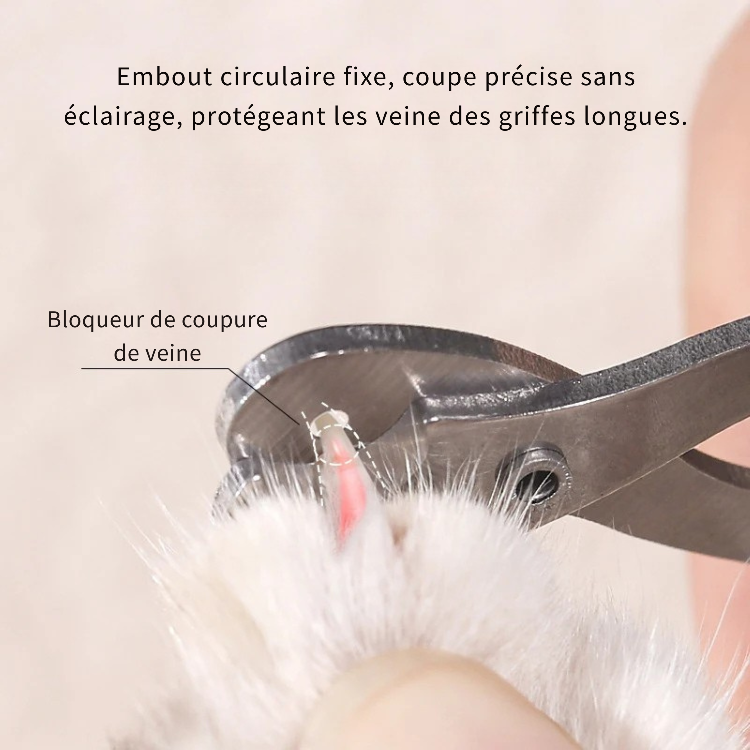 Coupe-griffes pour chat avec embout circulaire fixe permettant une coupe précise sans éclairage, protégeant la veine des griffes longues grâce à un bloqueur intégré.