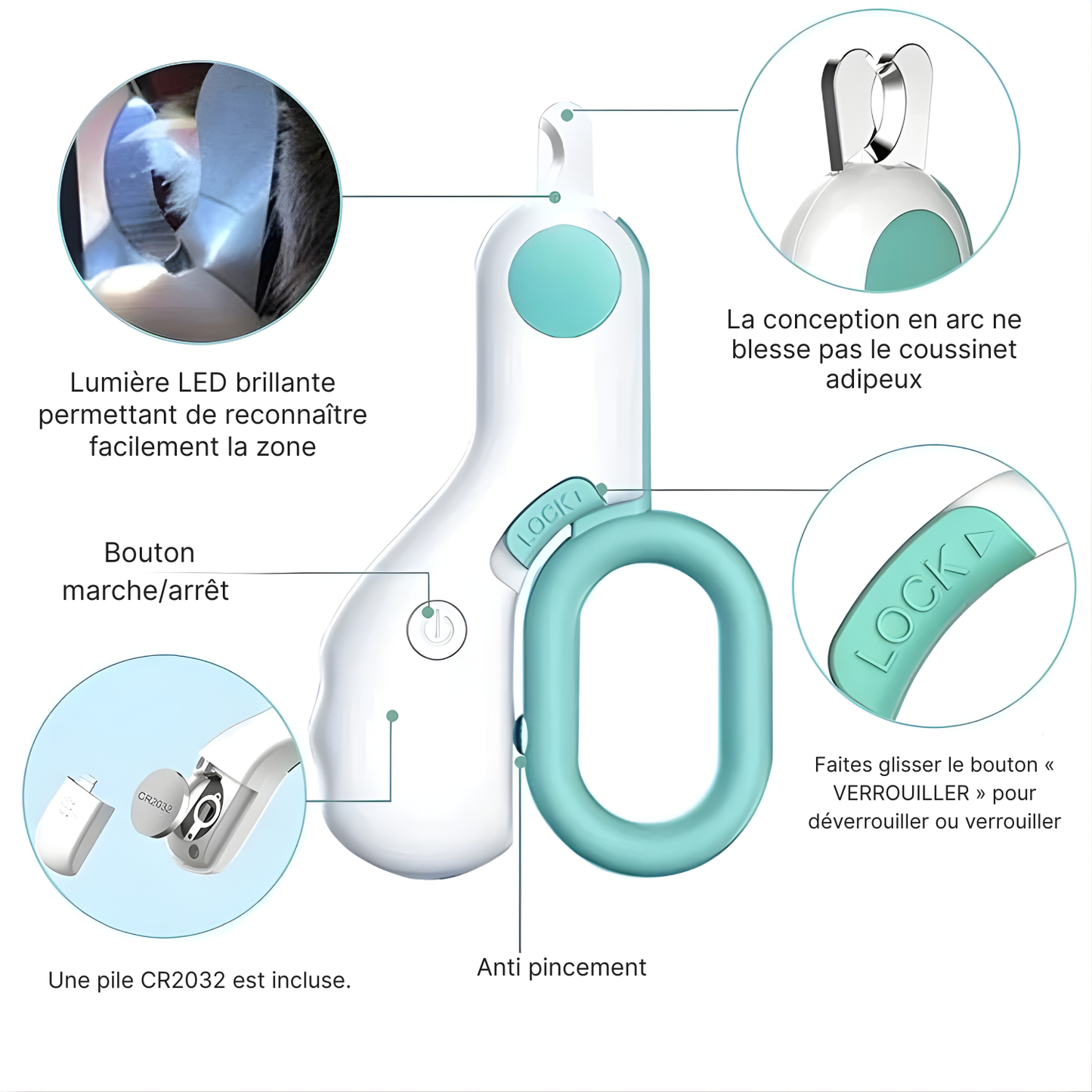 Coupe-griffes pour chat avec lumière LED pour repérer la zone de coupe, lames en arc anti-blessure, bouton de verrouillage de sécurité et pile CR2032 incluse.