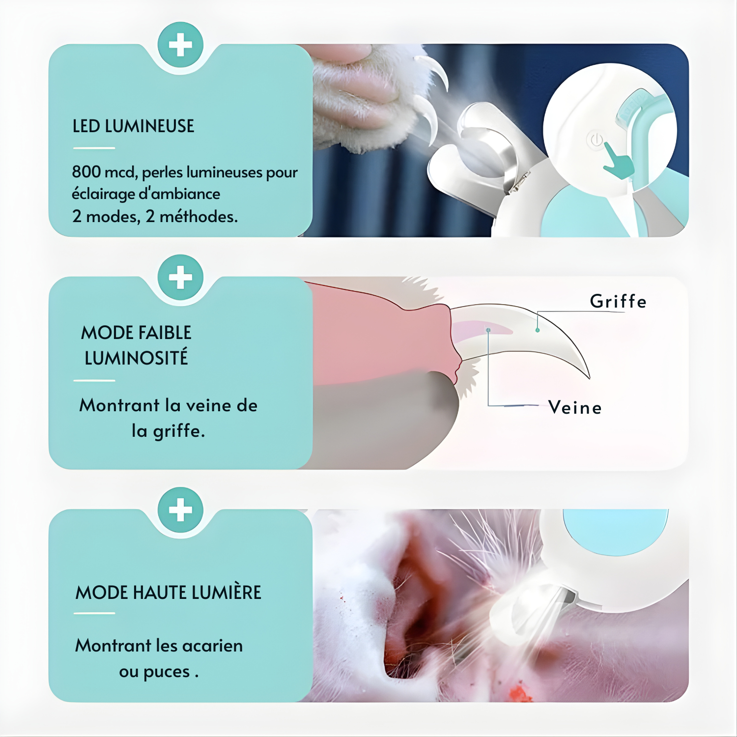 Infographie du coupe-griffes LED pour chat avec 2 modes de luminosité : mode faible pour visualiser la veine de la griffe et mode haute lumière pour détecter les acariens ou les puces dans les oreilles.