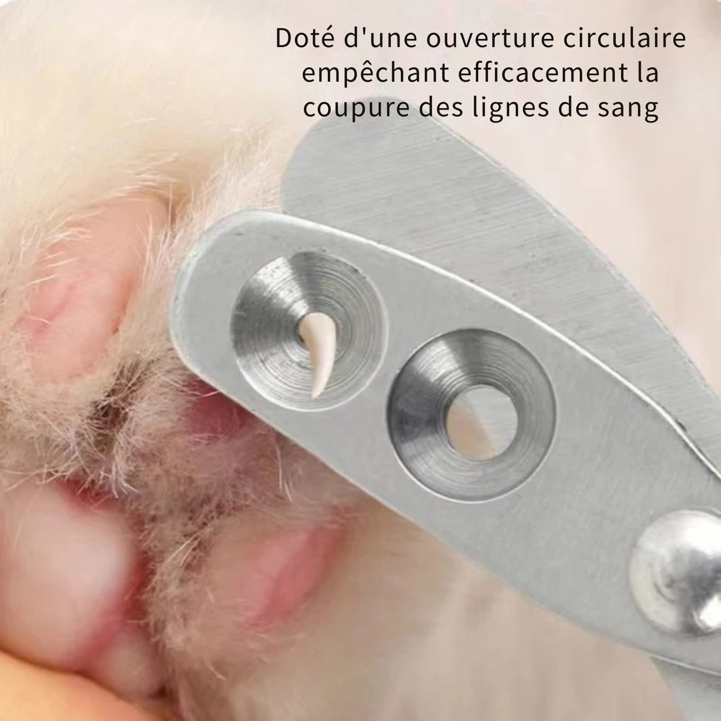Gros plan d'un coupe-ongles pour animaux avec ouverture circulaire de précision, empêchant la coupure de la ligne de sang pour un soin des griffes sécurisé et sans douleur.