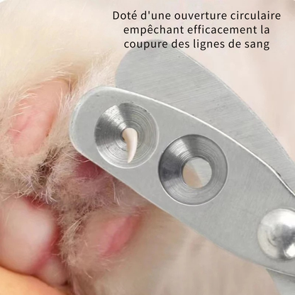 Gros plan d'un coupe-ongles pour animaux avec ouverture circulaire de précision, empêchant la coupure de la ligne de sang pour un soin des griffes sécurisé et sans douleur.