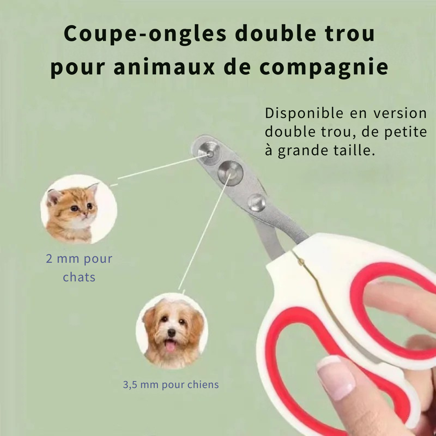 Coupe-ongles professionnel pour animaux de compagnie avec double trou de précision : orifice de 2 mm pour chats et 3,5 mm pour chiens, design ergonomique blanc et rouge.